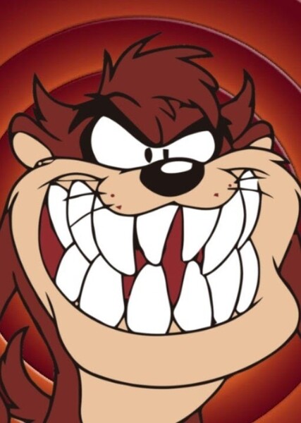 Tasmanian Devil photo
