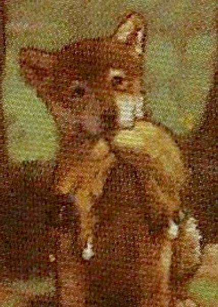 Tatlo (American Girl) photo