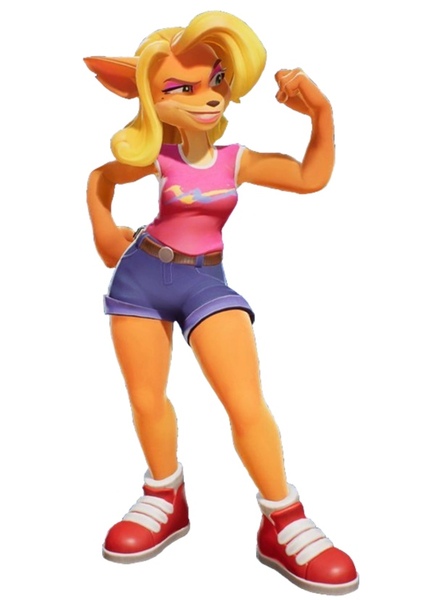 Tawna Bandicoot photo