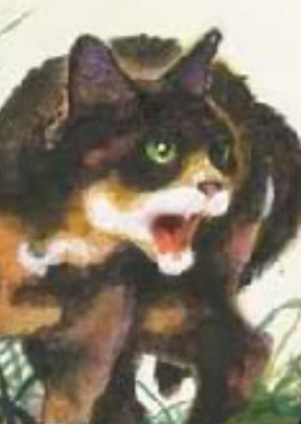 Tawnypelt (Warrior Cats) photo