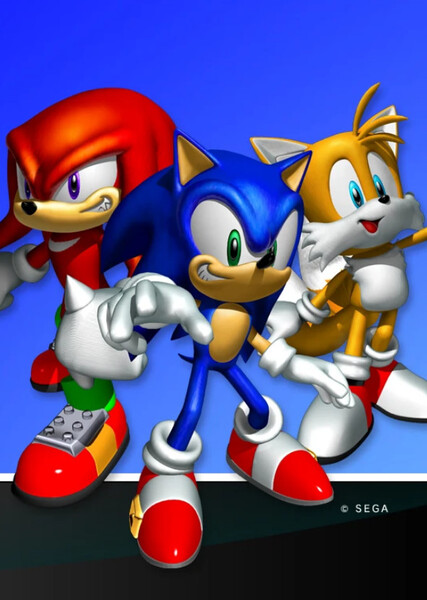 Team Sonic photo