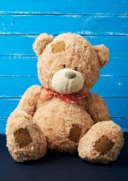 Teddy Bears photo
