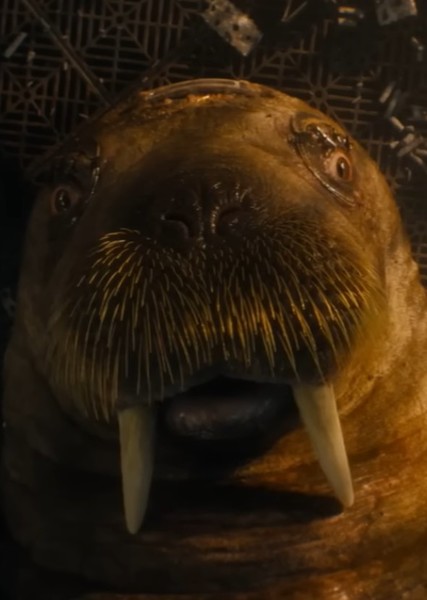 Teefs (Marvel Cinematic Universe) photo