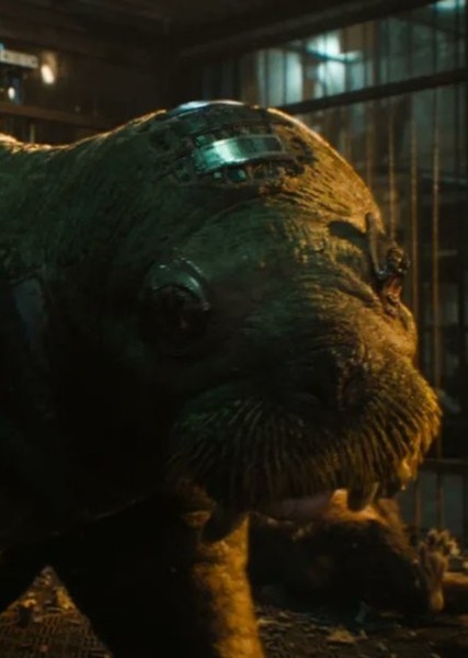 Teefs (Marvel Cinematic Universe) photo
