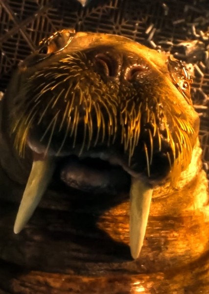 Teefs (Marvel Cinematic Universe) photo