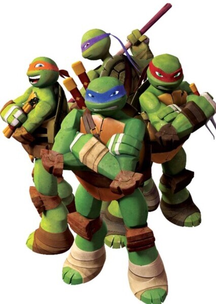 Teenage Mutant Ninja Turtles (2012) photo
