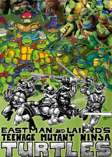 Teenage Mutant Ninja Turtles (Franchise)