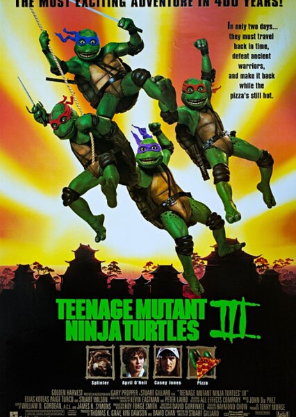 Teenage Mutant Ninja Turtles III