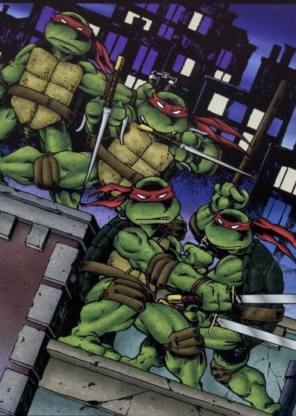 Teenage Mutant Ninja Turtles (Mirage Comics) photo