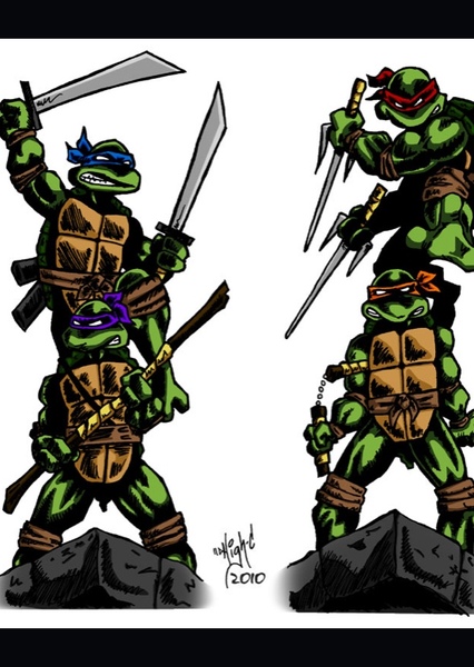 Teenage Mutant Ninja Turtles (Mirage studios)