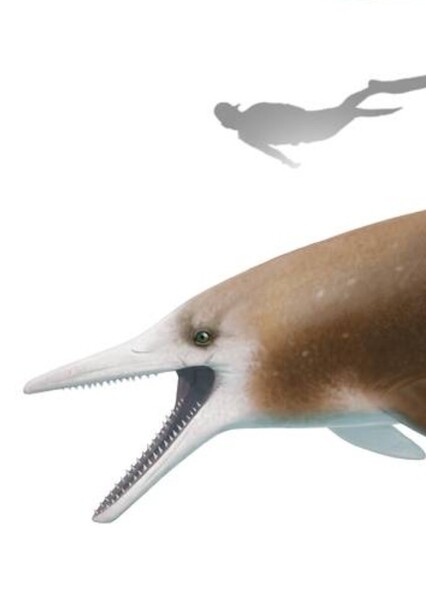 Temnodontosaurus photo