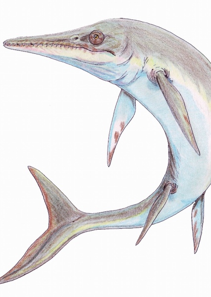 Temnodontosaurus photo
