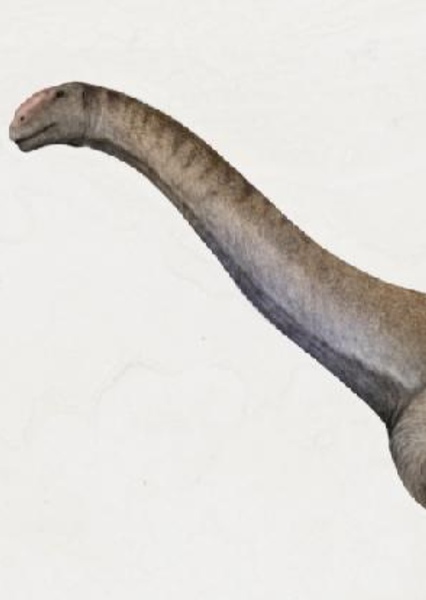 Tendaguria