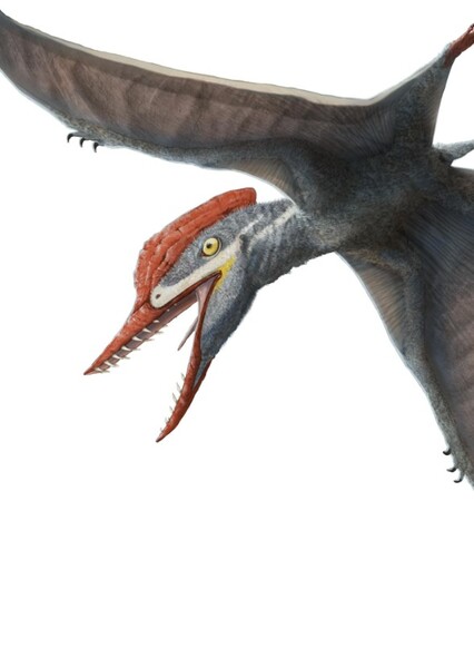 Tendaguripterus