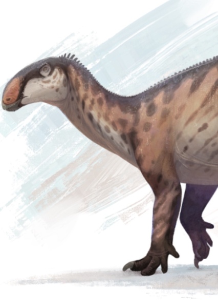 Tenontosaurus photo