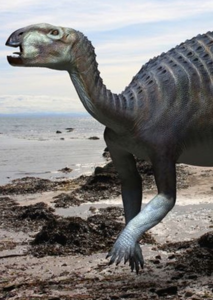 Tenontosaurus photo