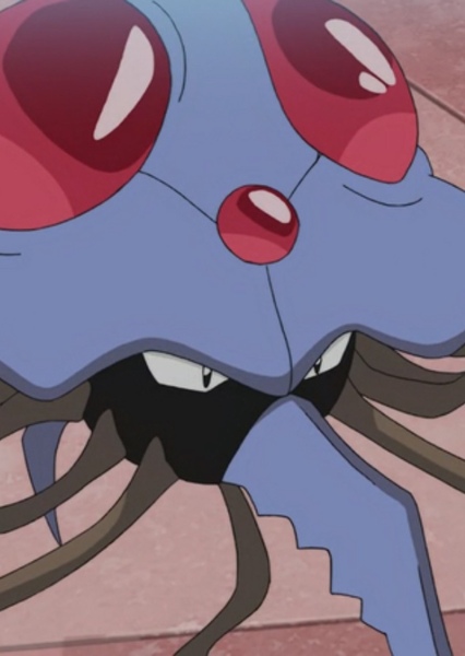 Tentacruel photo