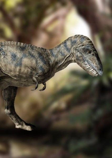 Teratophoneus photo