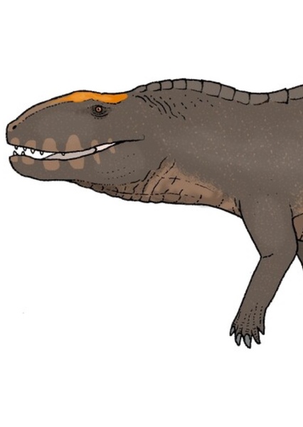 Teratosaurus photo
