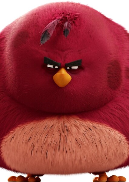 Terence (Big Brother Bird)