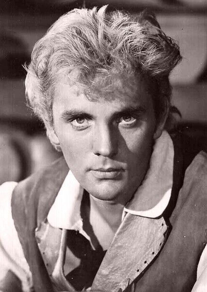 Terence Stamp