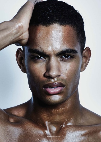 Terence Telle photo