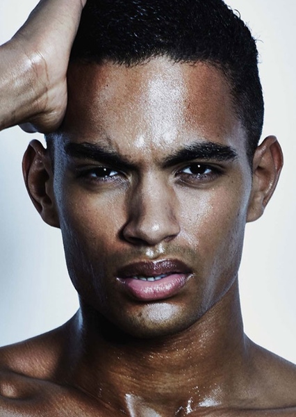Terence Telle photo