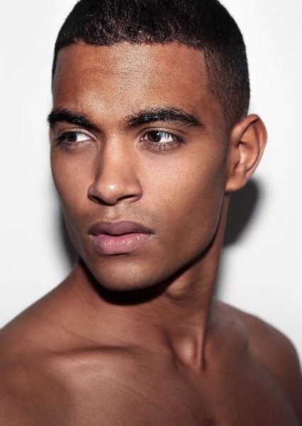 Terence Telle photo