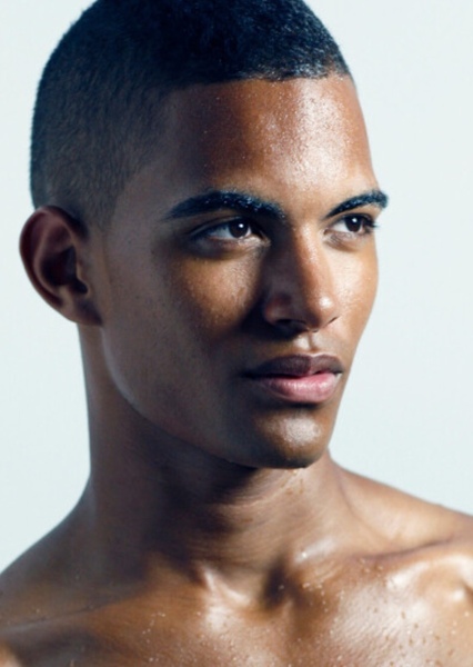 Terence Telle photo