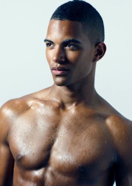 Terence Telle photo