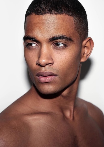 Terence Telle photo