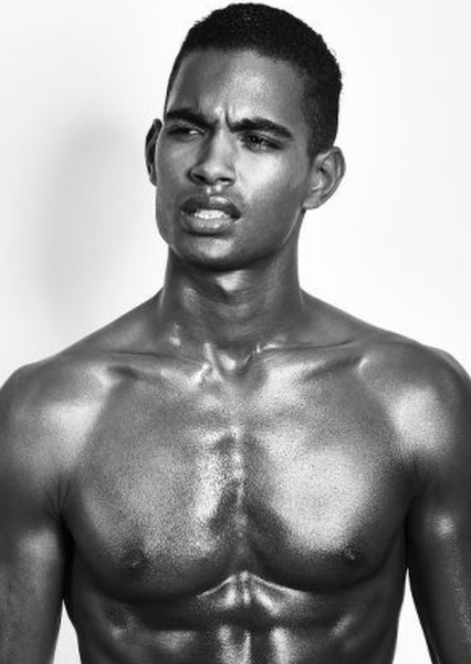 Terence Telle photo