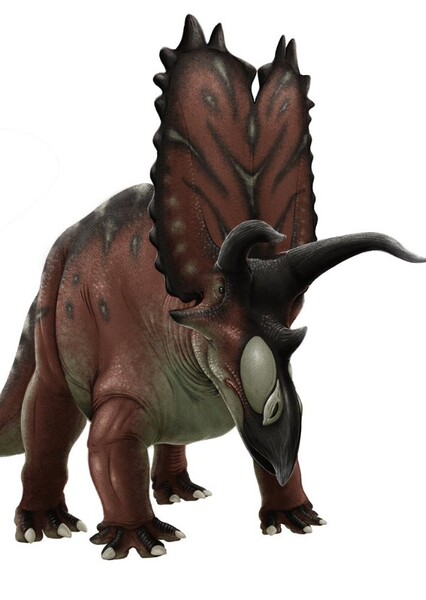 Terminocavus