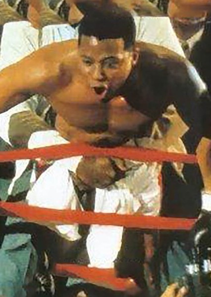 Terrance Howard photo