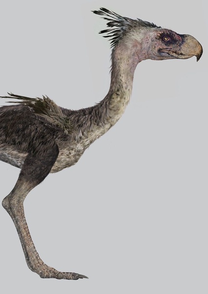 Terror Bird photo