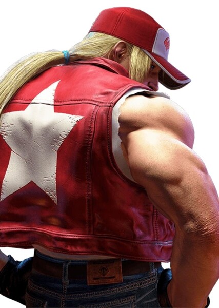Terry Bogard photo