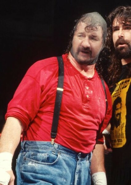 Terry Funk photo