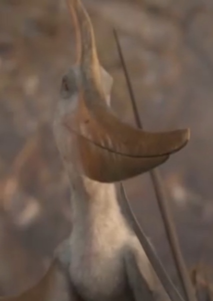 Tethydraco photo