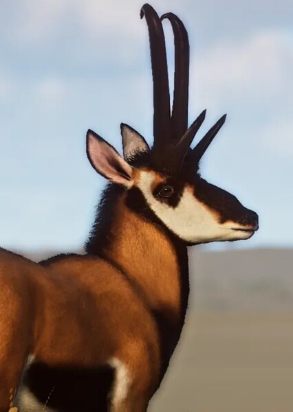 Tetrameryx