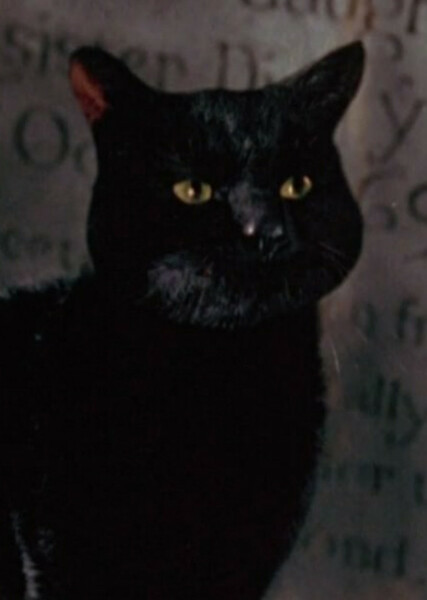 Thackery Binx