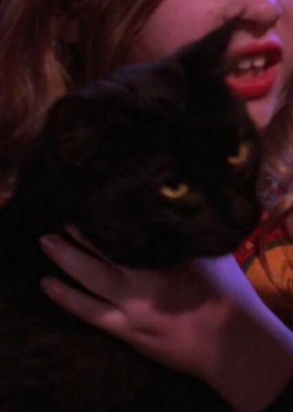 Thackery Binx photo