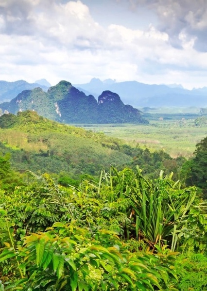 Thailand photo