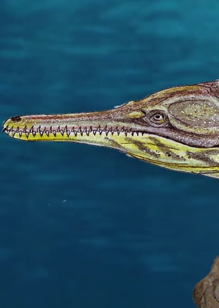 Thalattosuchus photo