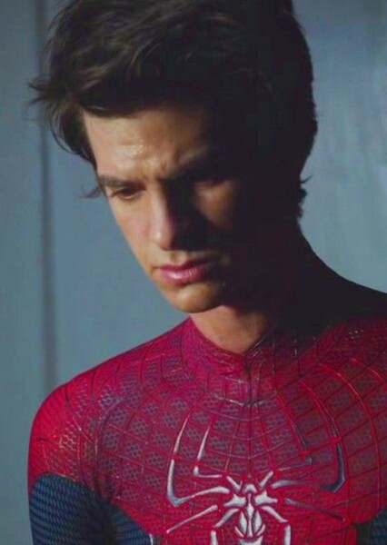 The Amazing Spider-Man photo