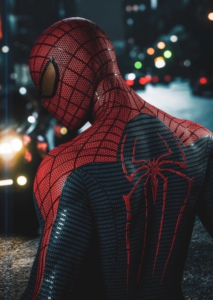 The Amazing Spider-Man photo