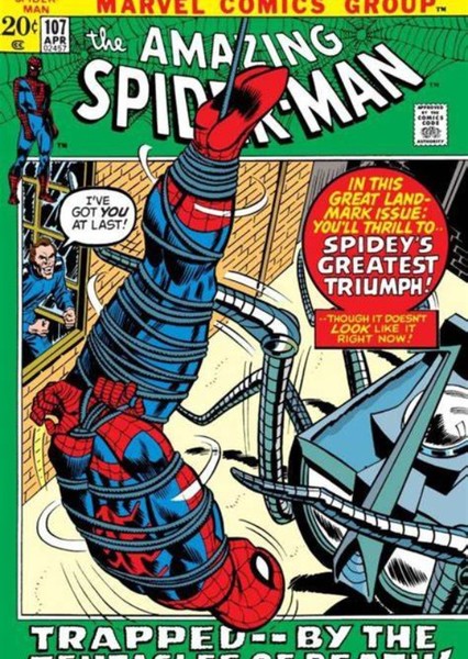 The Amazing Spider-Man (Comic Series) photo