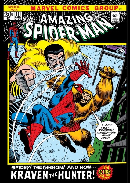 The Amazing Spider-Man (Comic Series)