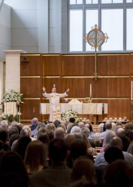 The Anglicans