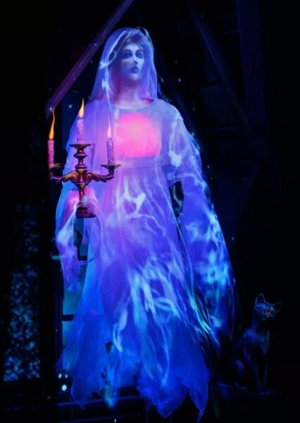 The Beating Heart Bride photo