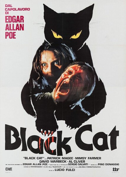 The Black Cat (1981 film) photo